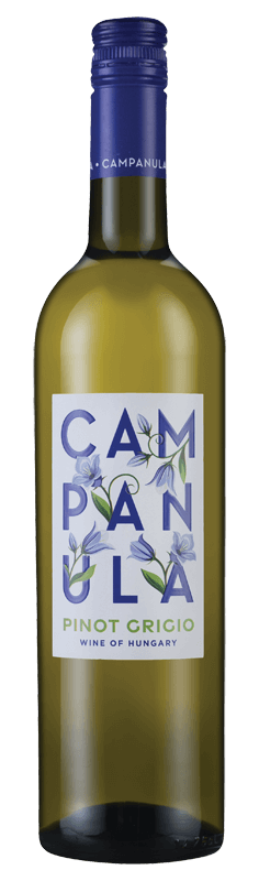 Campanula Pinot Grigio