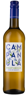Campanula Pinot Grigio