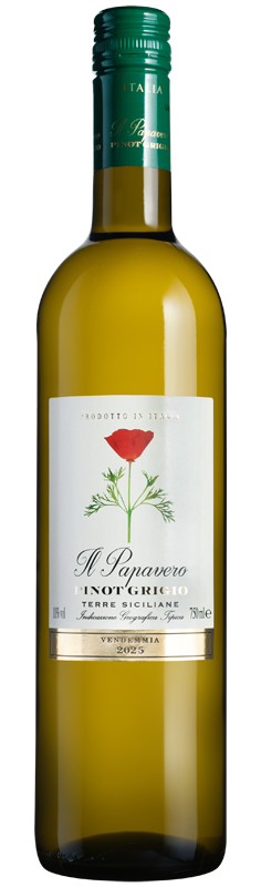 Il Papavero Pinot Grigio
