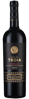 Baía de Tróia Castelão