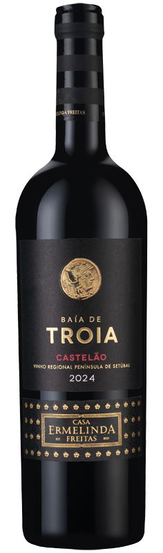 Baía de Tróia Castelão