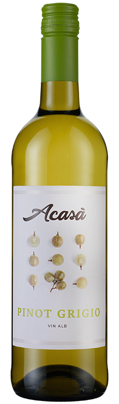 Acasa Pinot Grigio