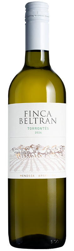 Finca Beltrán Torrontés