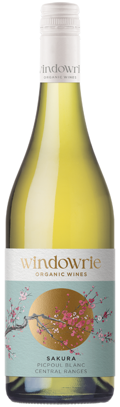 Windowrie Sakura Picpoul Blanc