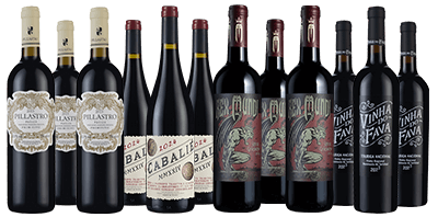 Worldwide Bestsellers Dozen 