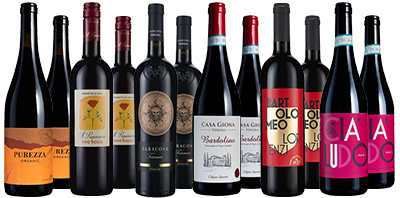 Top-to-Toe Italian Reds Dozen 