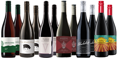 Everyday Shiraz Dozen 