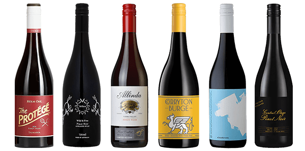 Festive Pinot Noir Six Pack