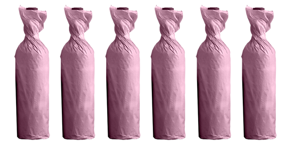 Secret McLaren Vale Shiraz Six Pack